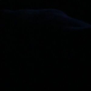 Meet your Posher, Saprina